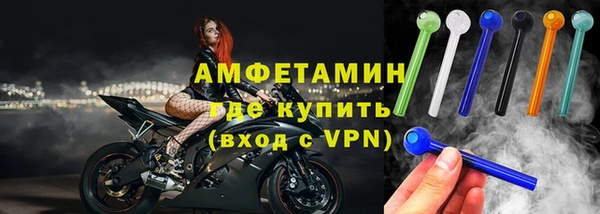 стаф Пересвет