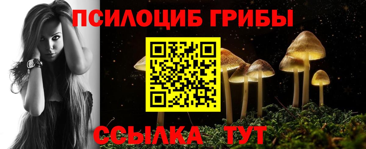 Отрадное  Псилоцибиновые грибы Psilocybine cubensis  Псилоцибиновые грибы MAGIC MUSHROOMS  Вход с VPN 