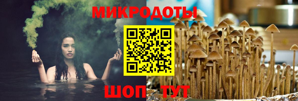 Галлюциногенные грибы прущие грибы Отрадное